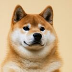 Polymarket: Leading Decentralized Prediction Market Platform