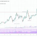 Canary Capital: Expert Investment Solutions and Financial Advisory Services