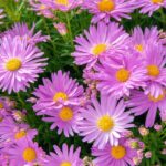 Bybit: Secure Crypto Trading Platform for Bitcoin, Ethereum & Altcoins