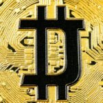 Top Bitcoin Treasury Companies: Leading Firms Holding BTC