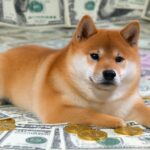 Doge Price | Live Dogecoin Value, Market Cap & Chart